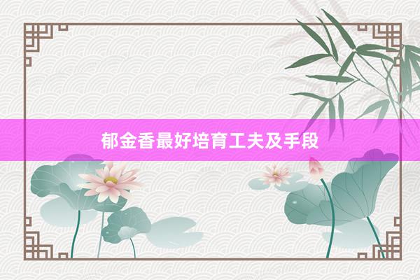 郁金香最好培育工夫及手段
