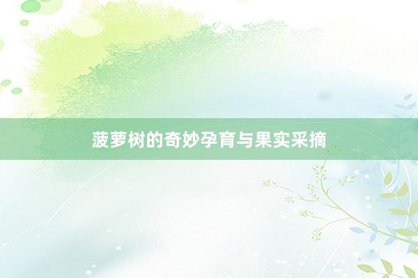 菠萝树的奇妙孕育与果实采摘