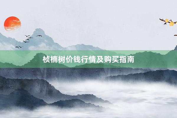 桢楠树价钱行情及购买指南