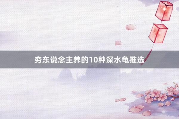 穷东说念主养的10种深水龟推选
